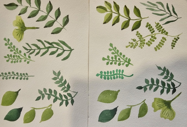 Leaves