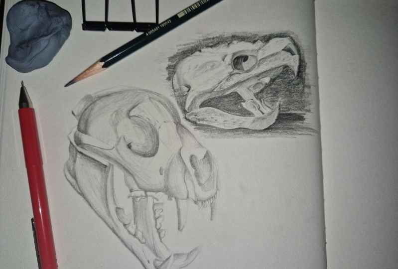 Level up your drawing skills 2
