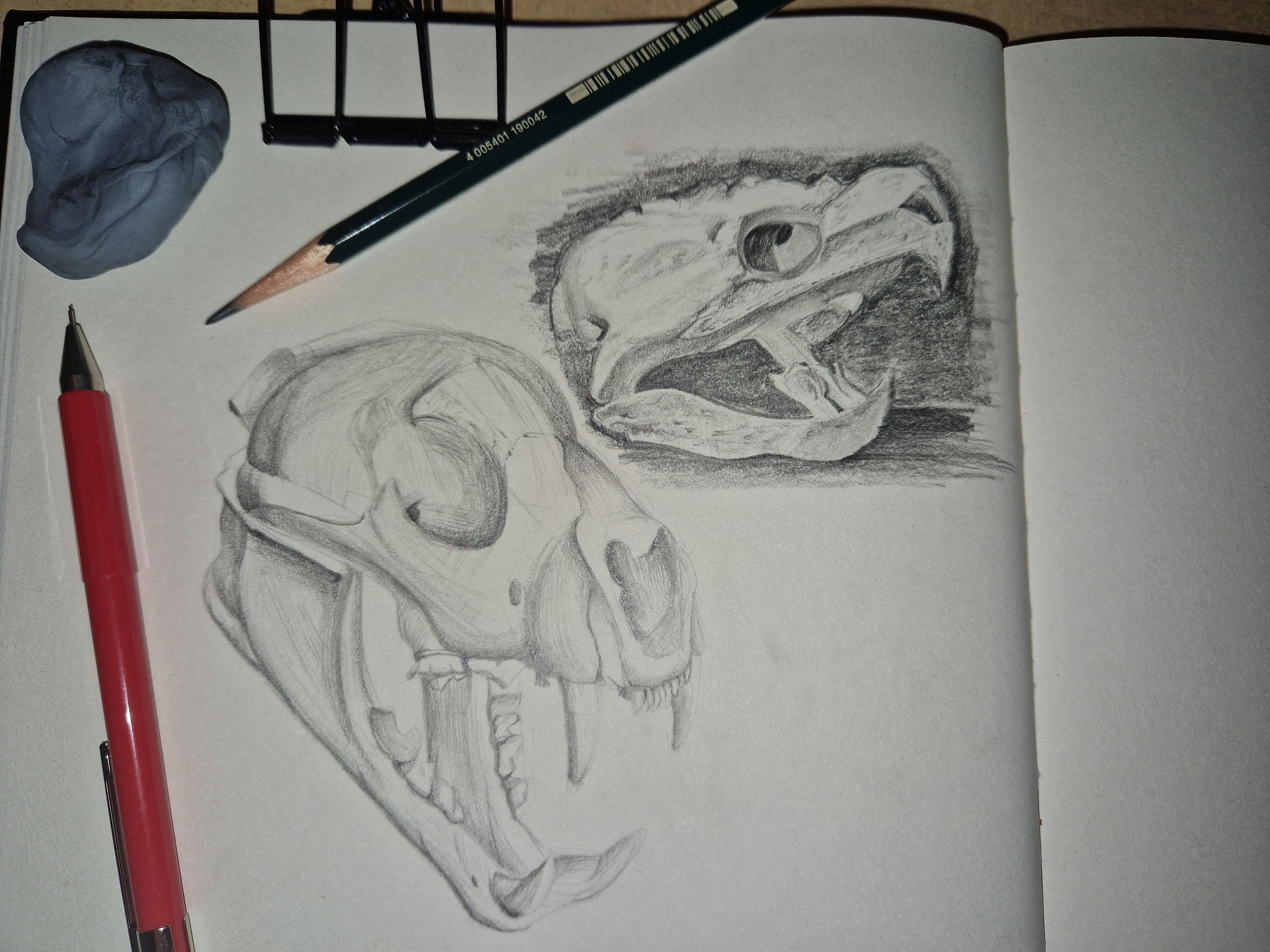 Level up your drawing skills 2 - student project