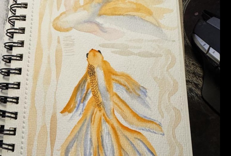 attempting beta fish