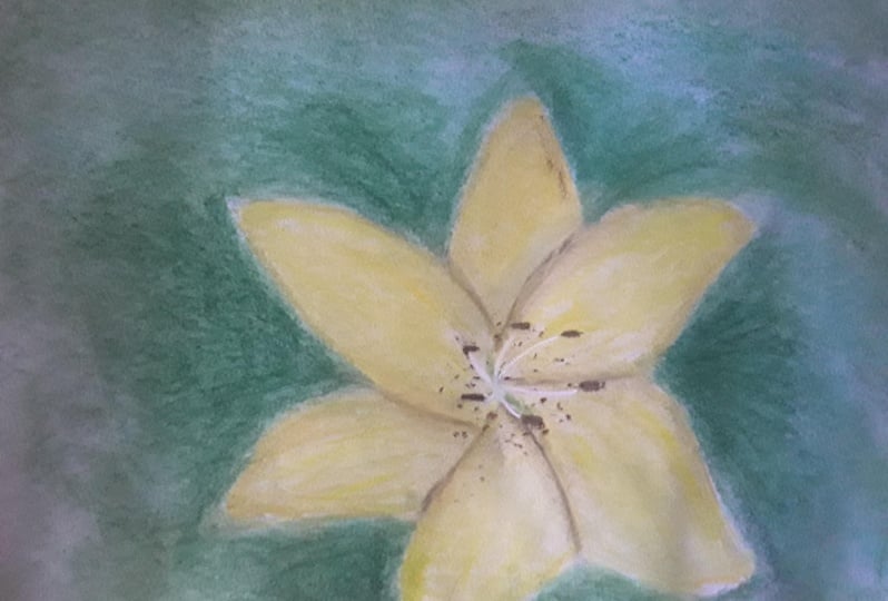 Chalk pastel lily