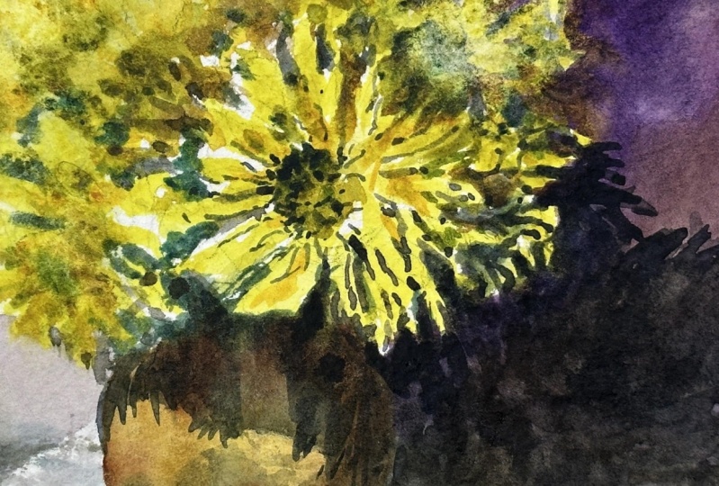 Flowers in watercolor