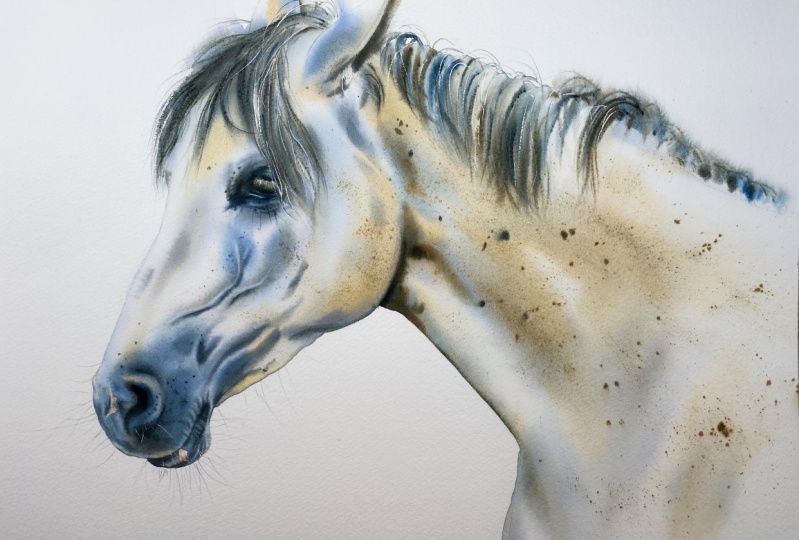 My Horse Painting
