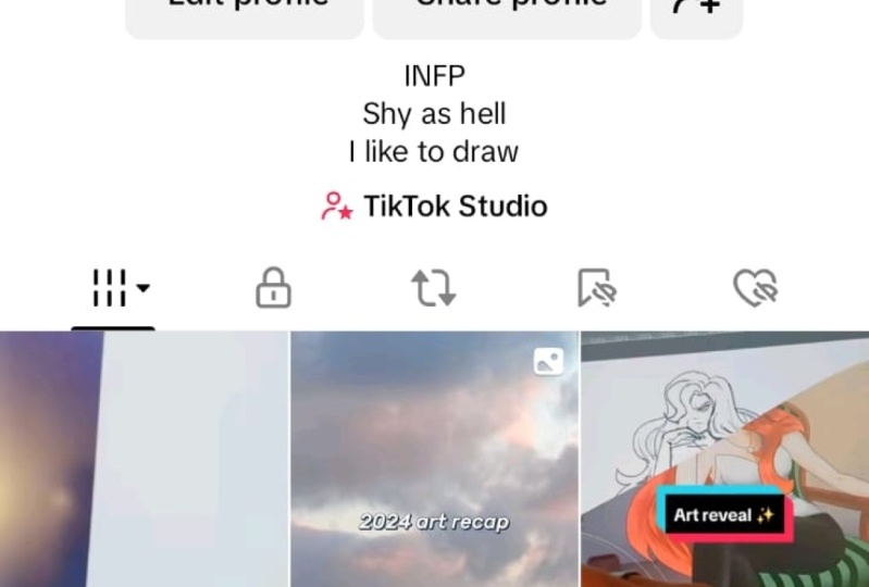 TikTok profile and posts