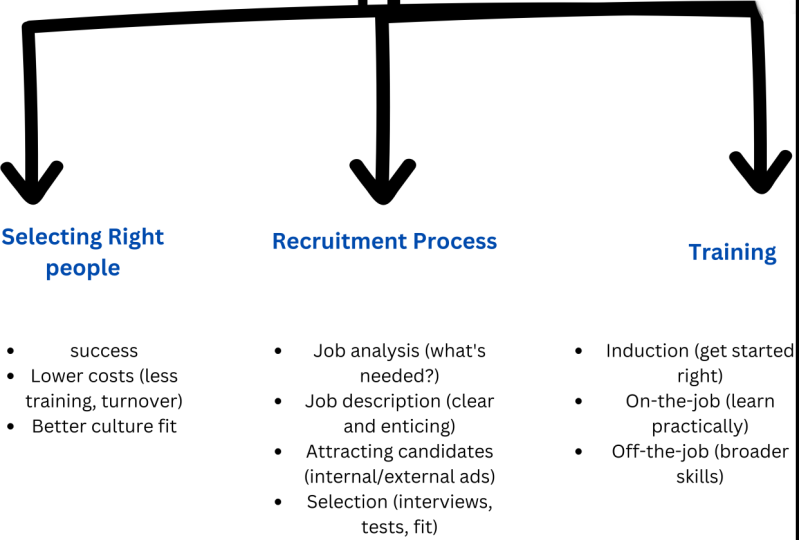 Building a High-Performing Team:  Recruitment, Selection, and Training