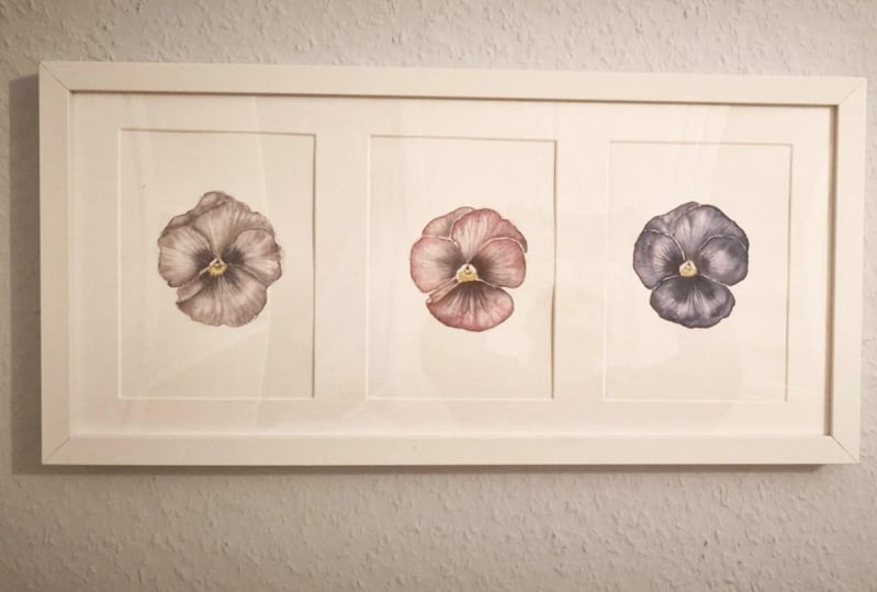 three pansies