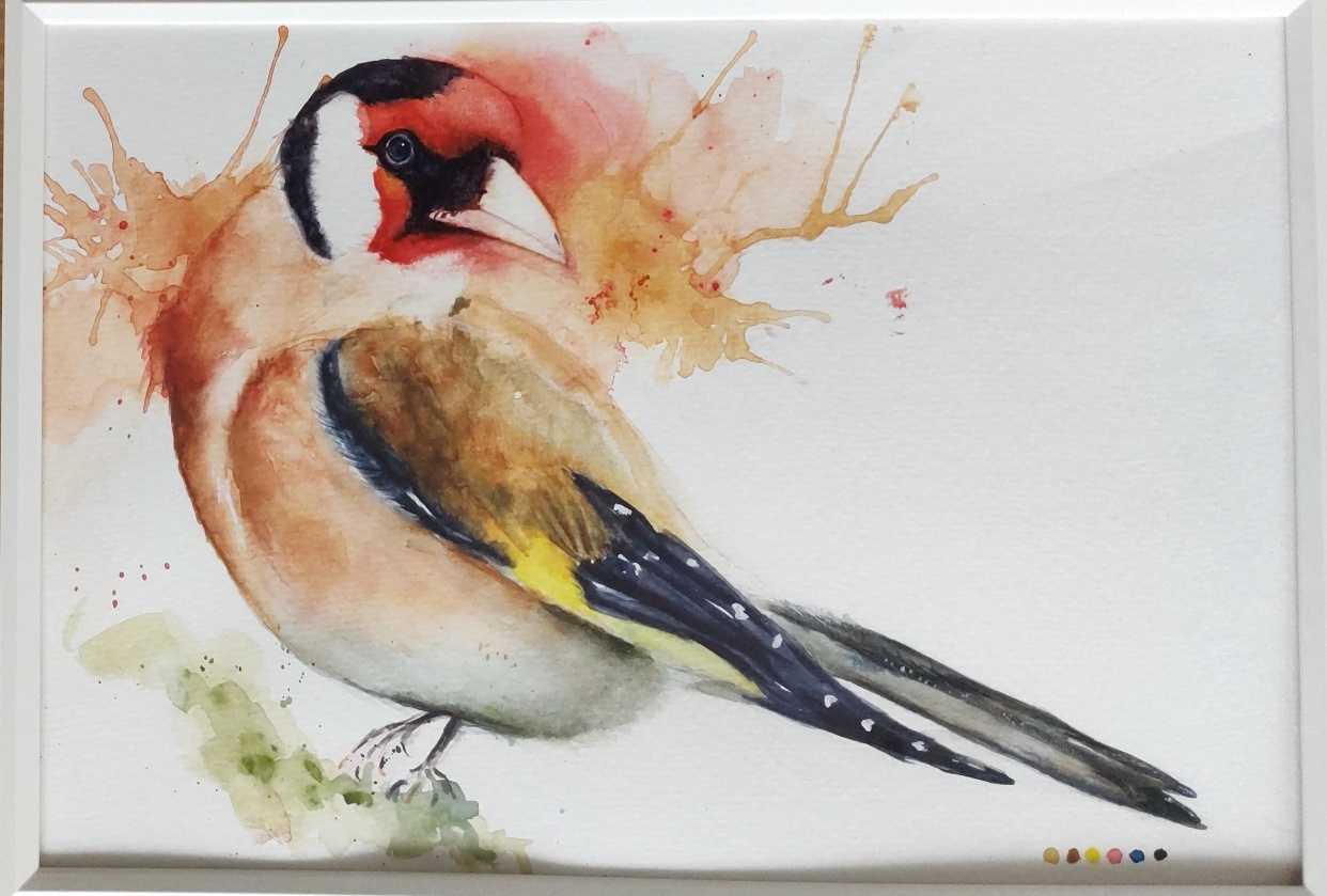 Golden finch. A masterclass with Aniruddha Gupte - student project