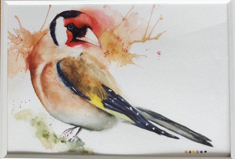 Golden finch. A masterclass with Aniruddha Gupte