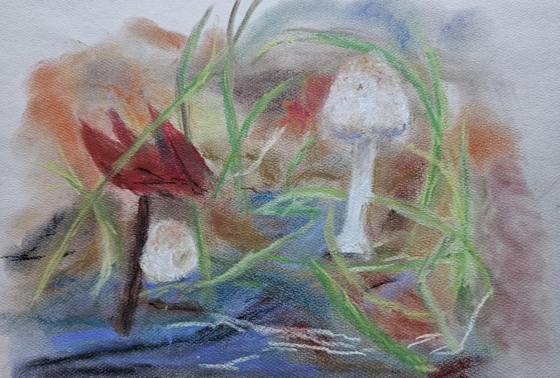 Mushroom -pastel