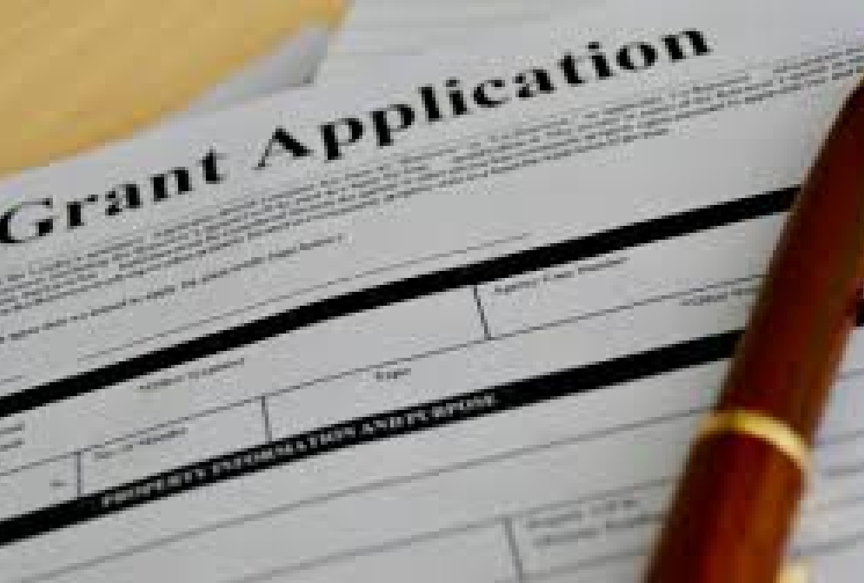 Grant Application Step by Step - student project