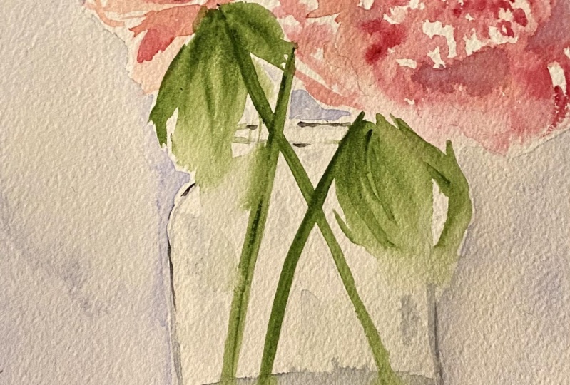 Peony fun