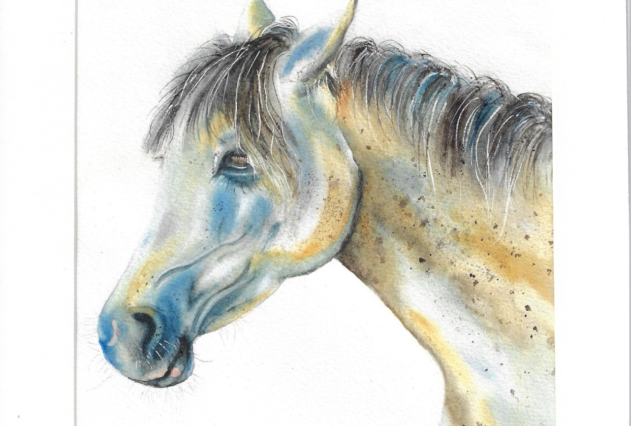 Colorful Horse - student project