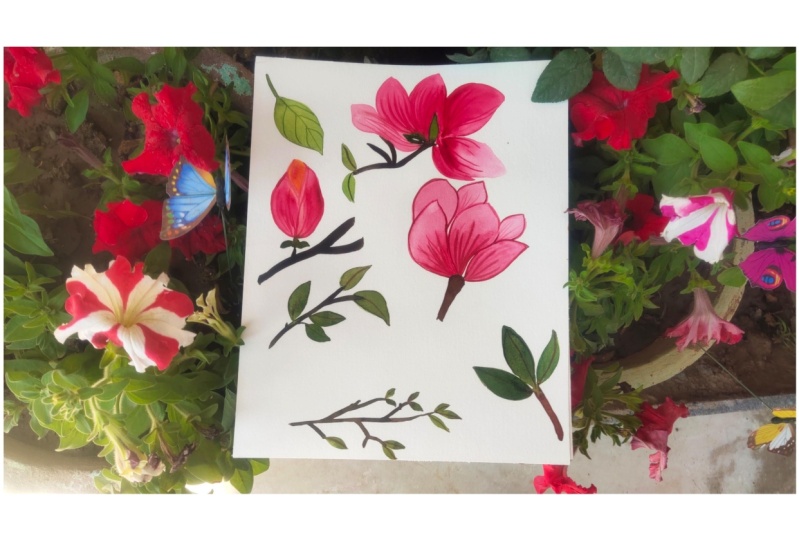 Depth knowledge of flower illustration