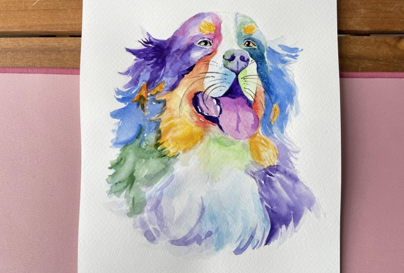 Colourful dog portrait