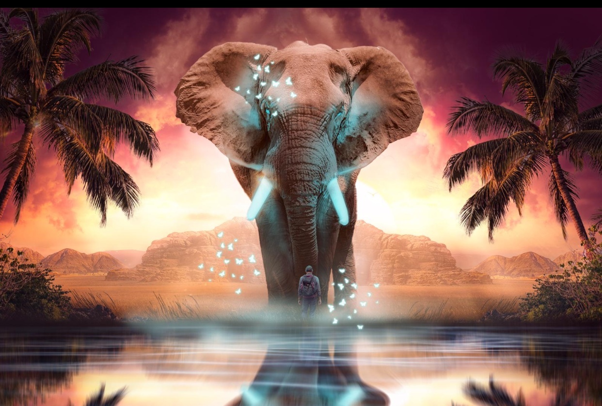 Mysterious elephant - student project