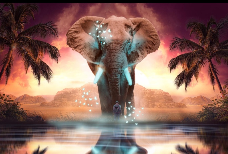Mysterious elephant