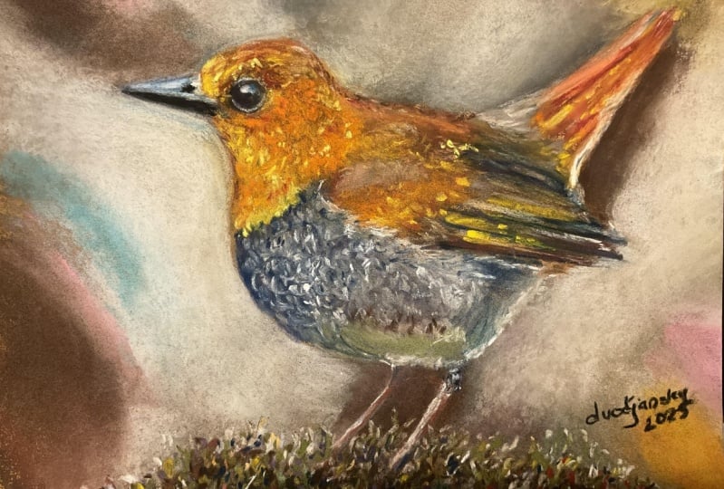 Pastel Robin