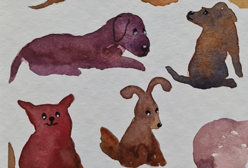 My don't-think-about-it-too-much dogs