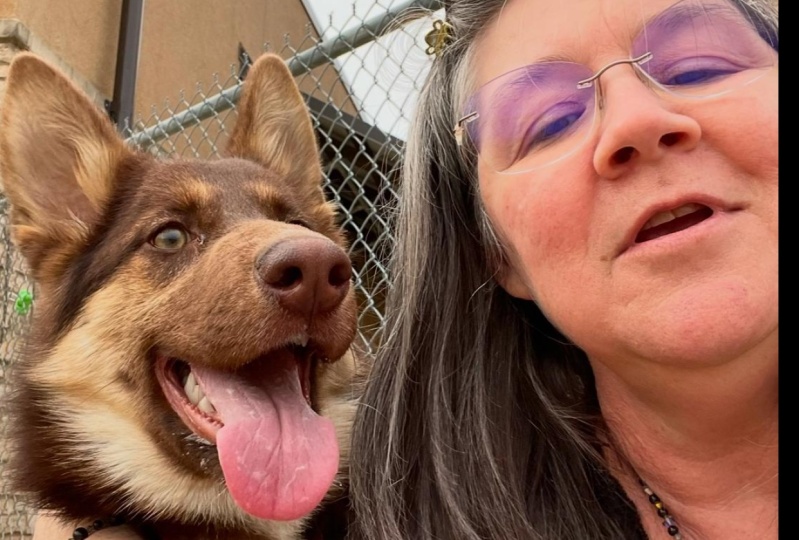 Our Gotcha Day, Irving Animal Shelter: Create a Photo Essay