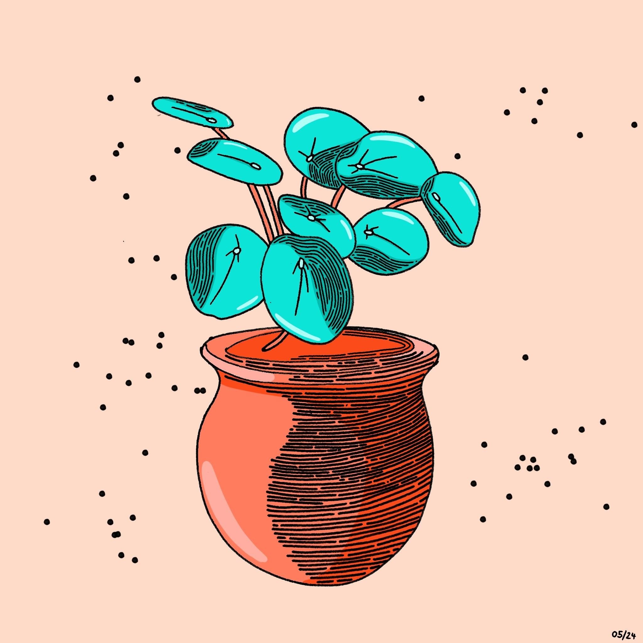 more-projects-from-class-img
