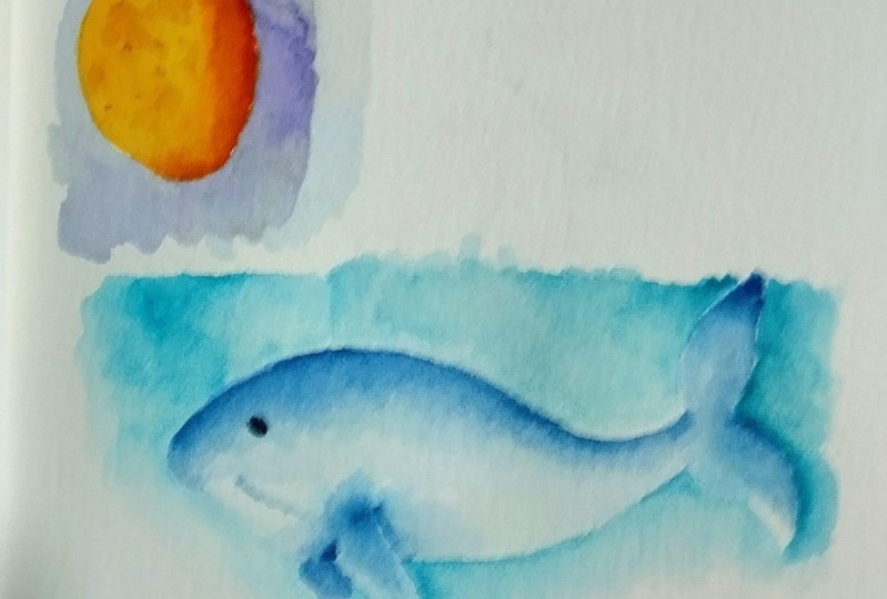 Exploracion