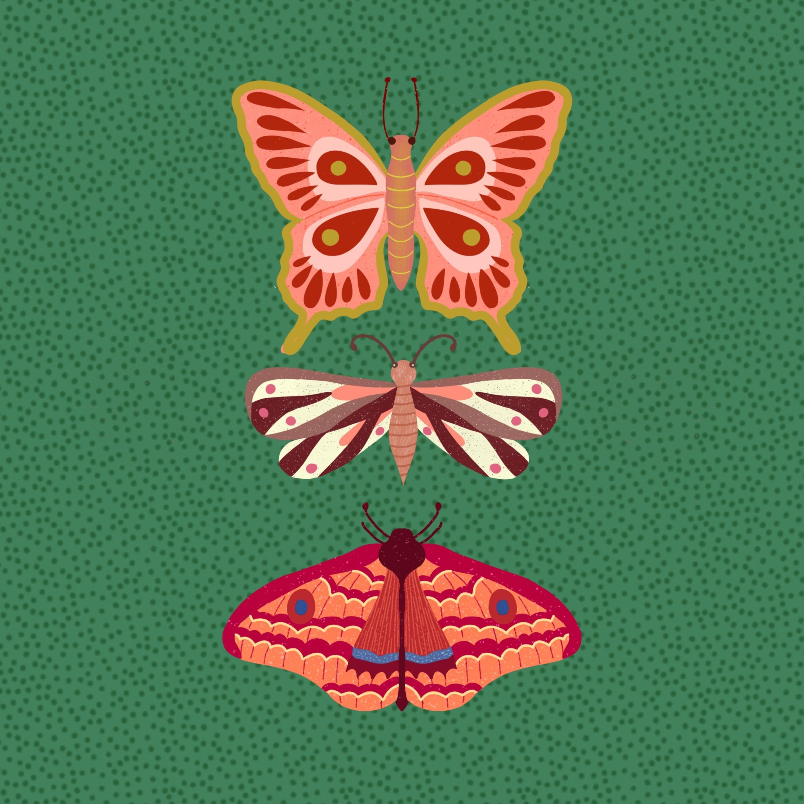more-projects-from-class-img