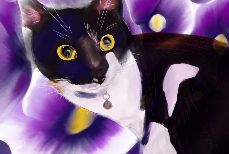 Sweet Cat
