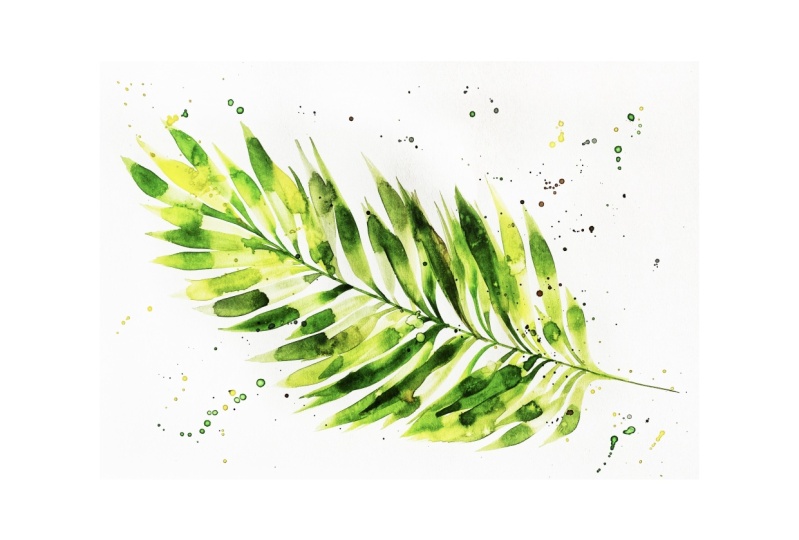 Expressive Areca Palm in Watercolor