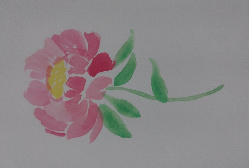 Watercolor peony