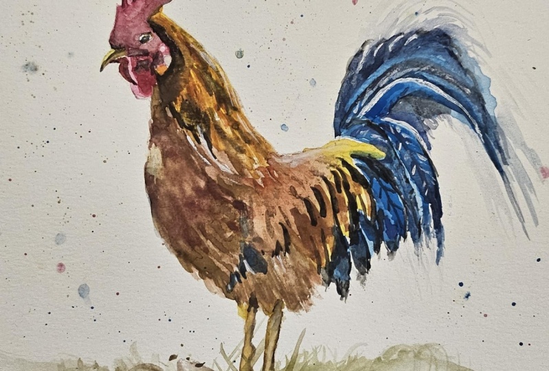 Henry the Rooster