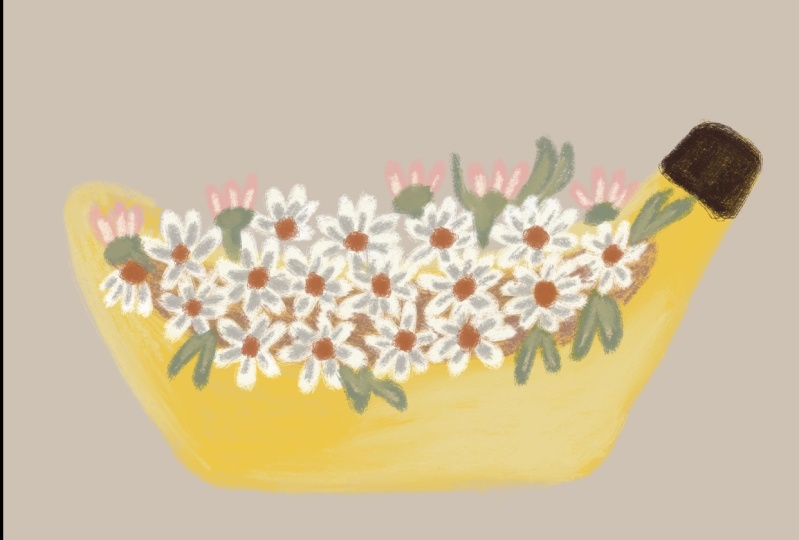 Banana flowers