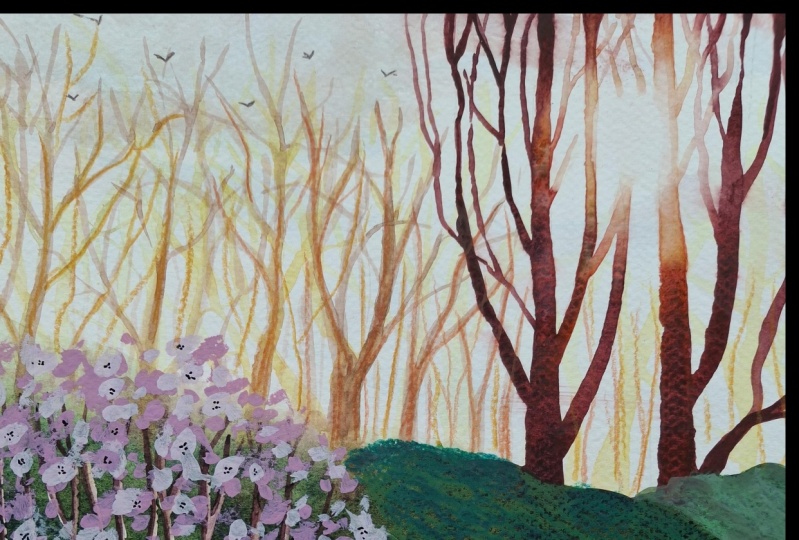 Sunlight illustration