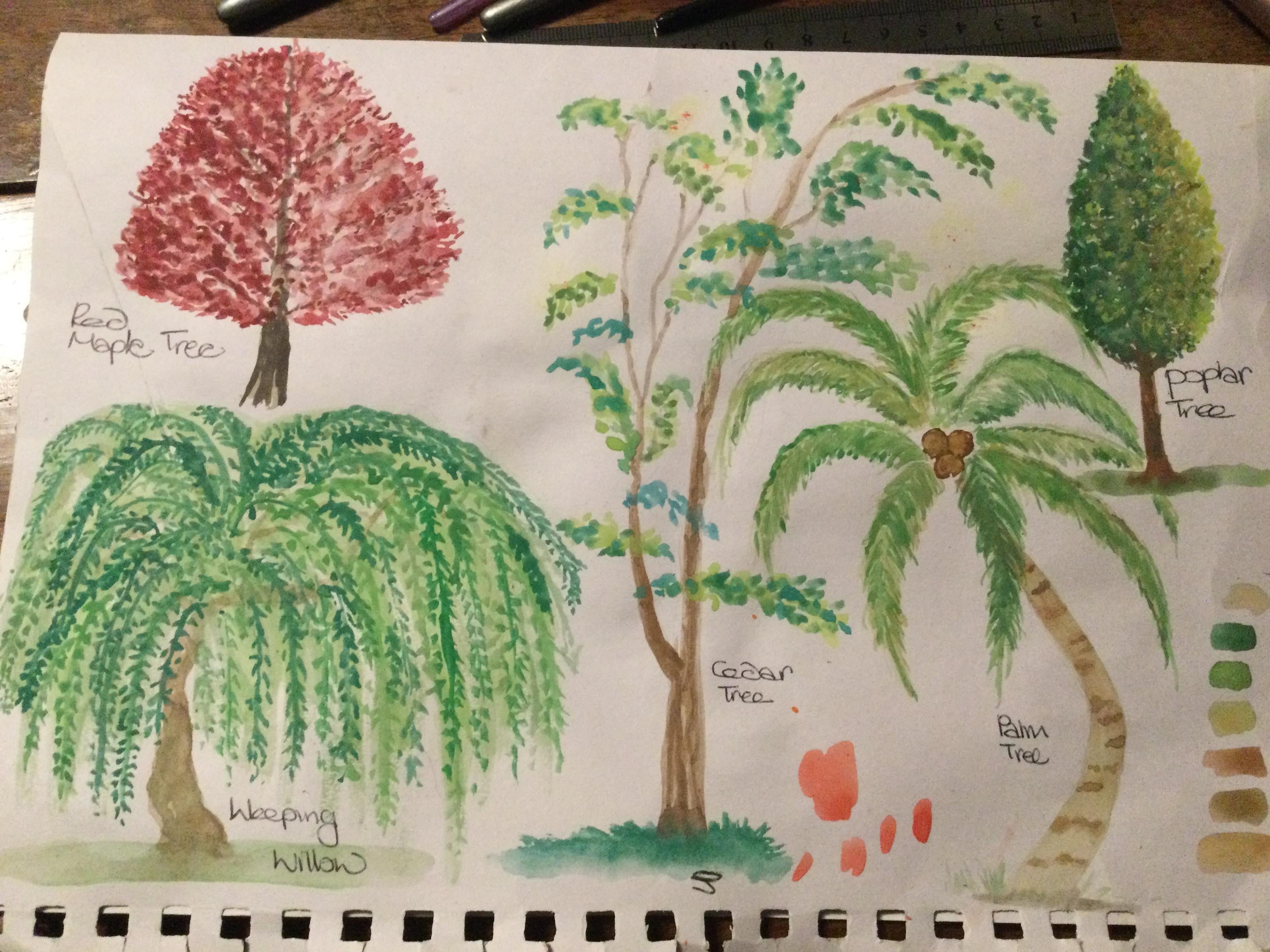 more-projects-from-class-img