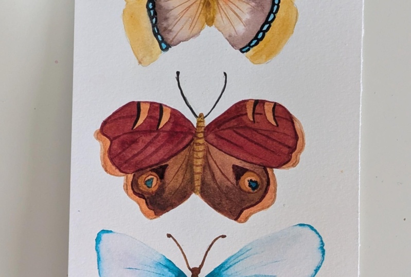 Explore Watercolor Techniques: Paint 3 Butterfly Illustrations