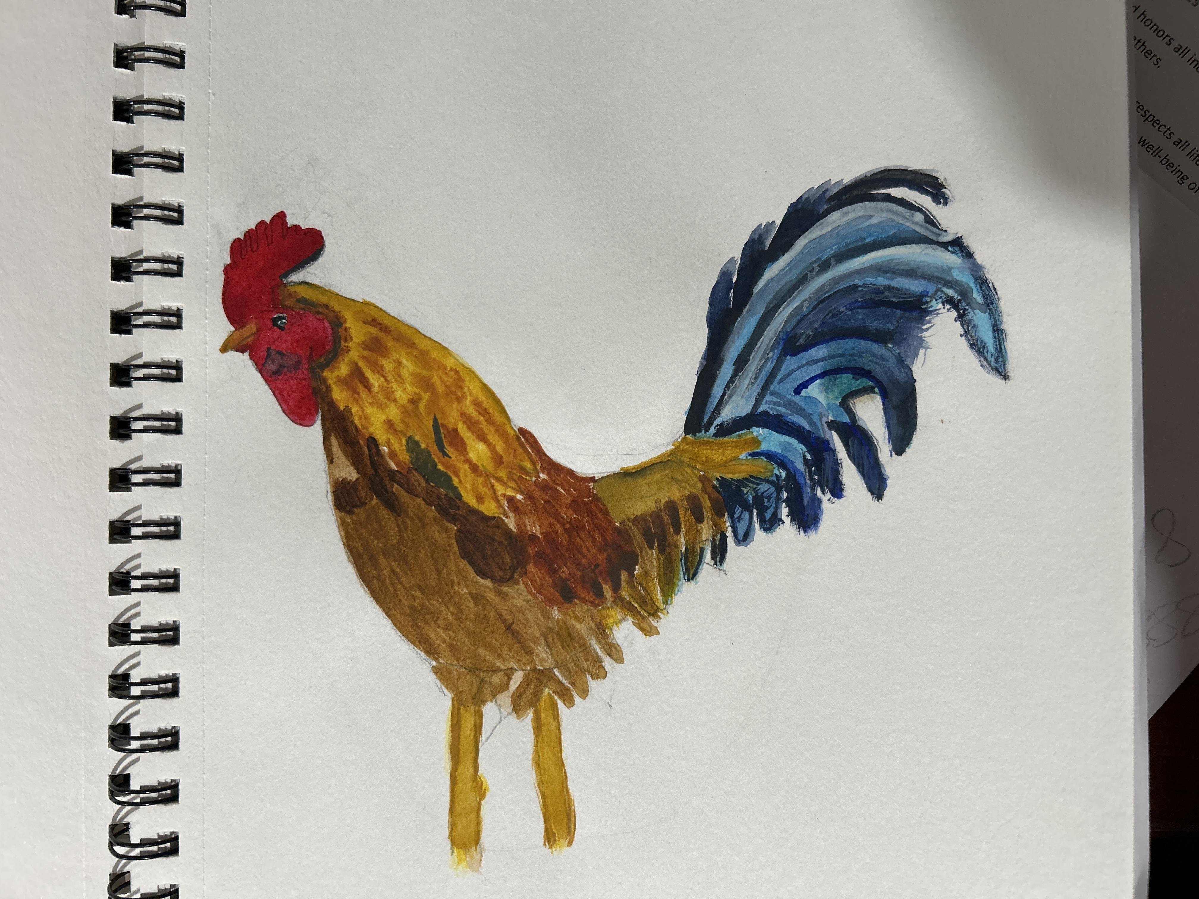 more-projects-from-class-img