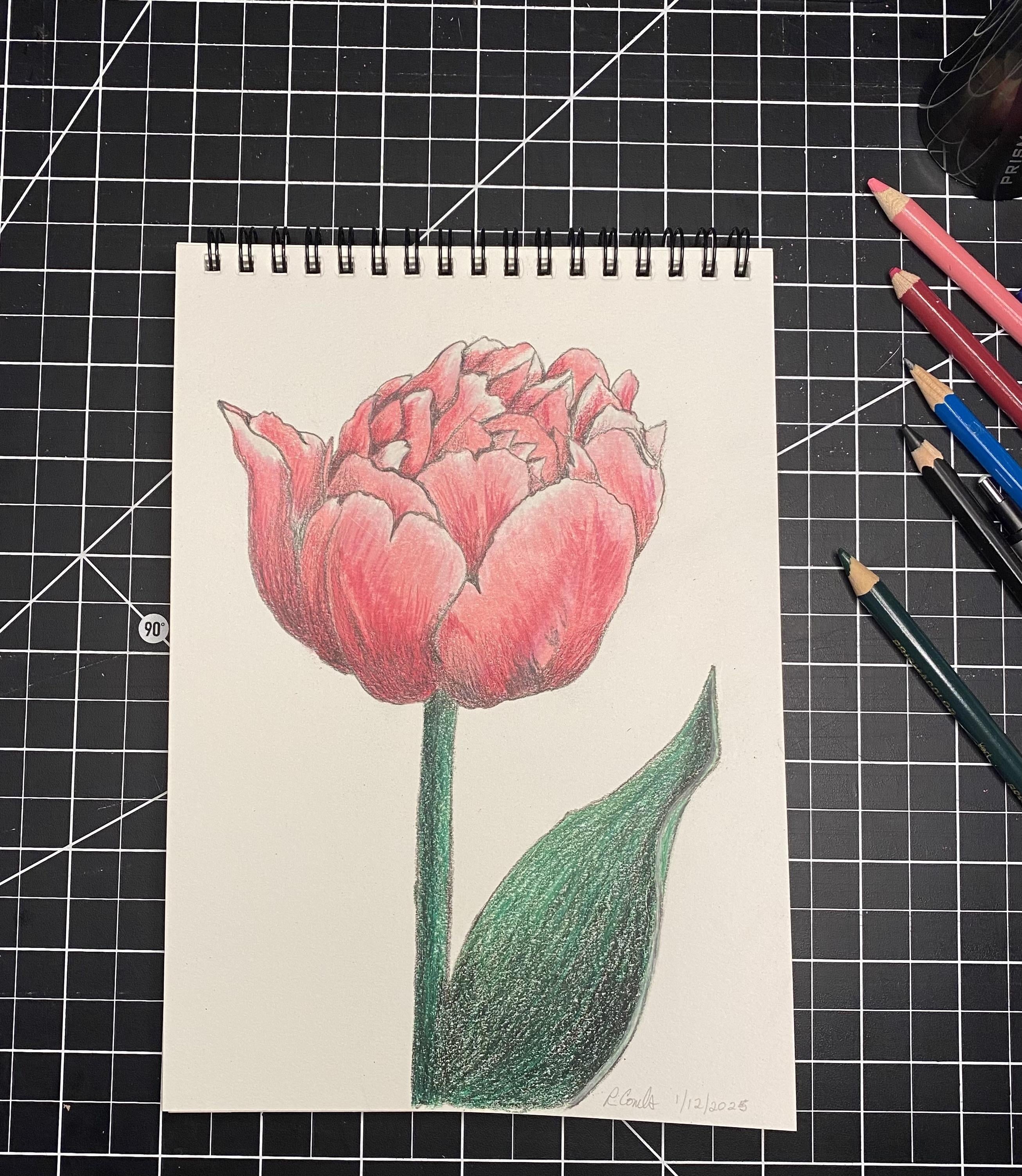 more-projects-from-class-img