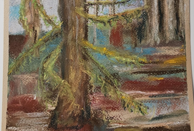 Cedar tree pastel