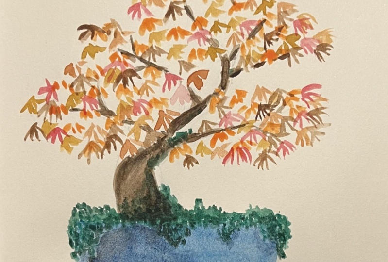 Bonsai tree