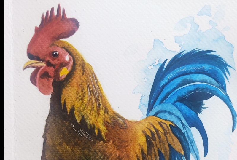 Watercolor Cockerel