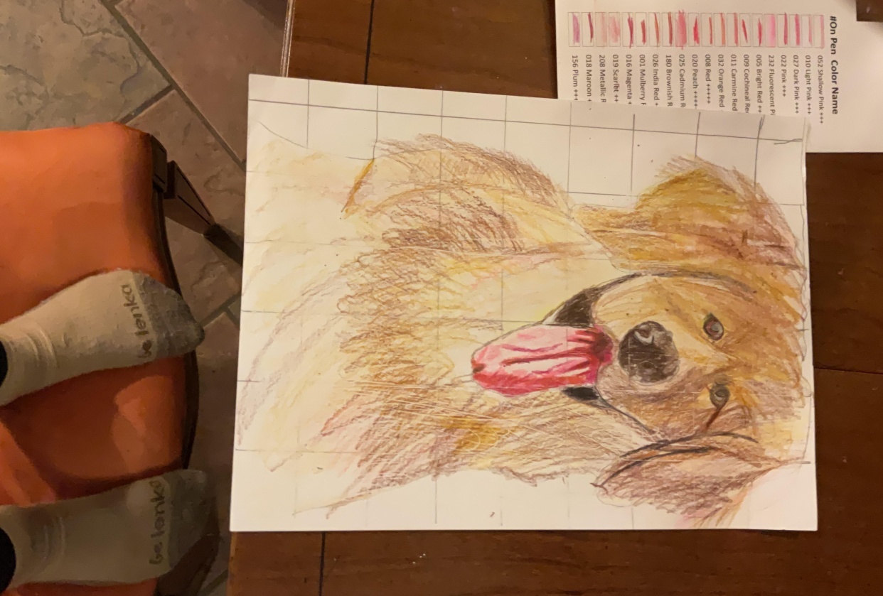 Labrador - student project