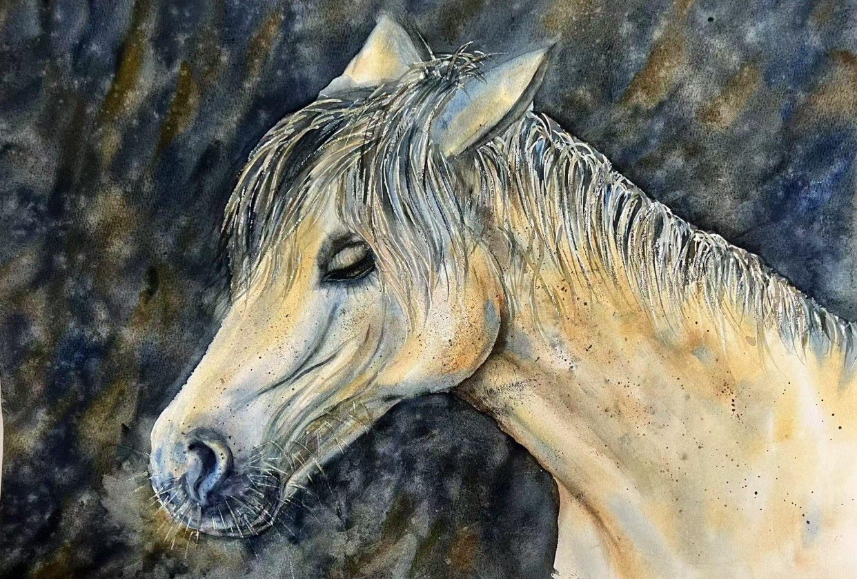 Horse - student project