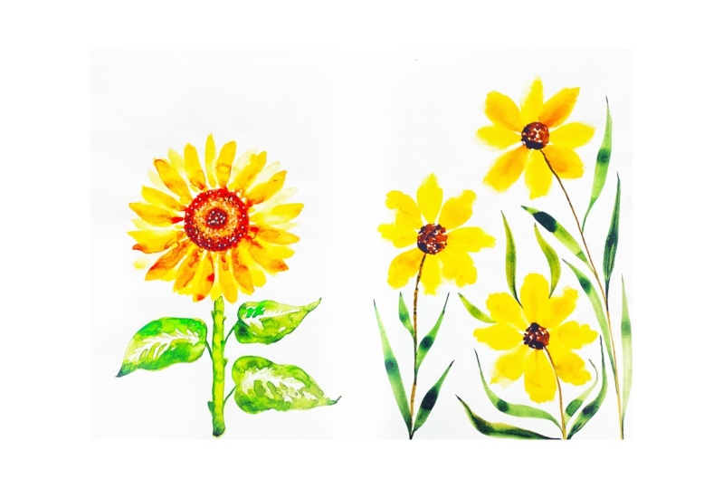 Sunflowers in Watercolor