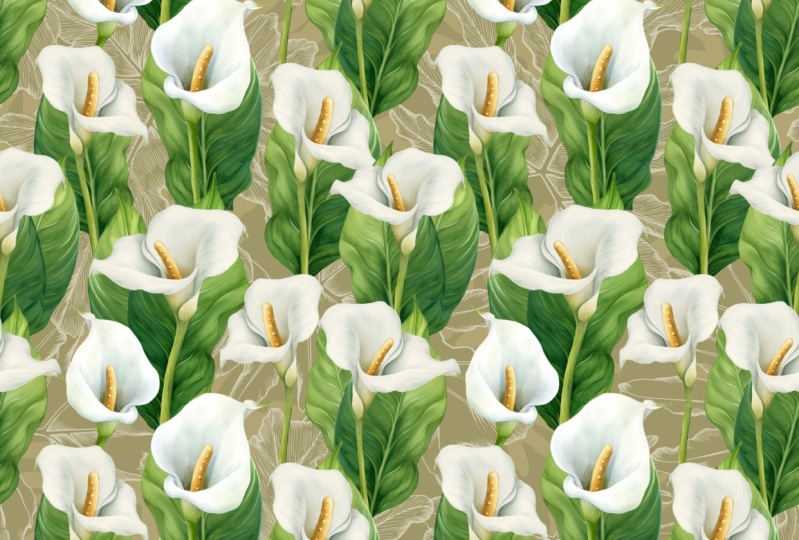 Arum lilies wallpaper