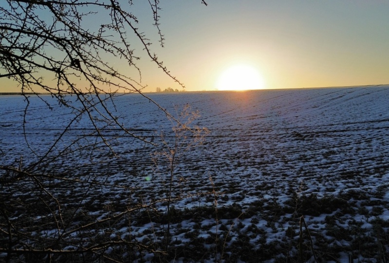 Sunrise in Sprotborough