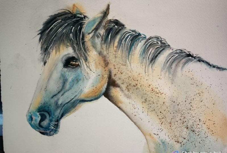 Konik