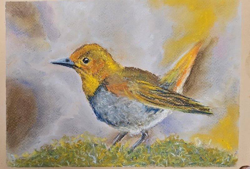Fluffy Robin -pastel