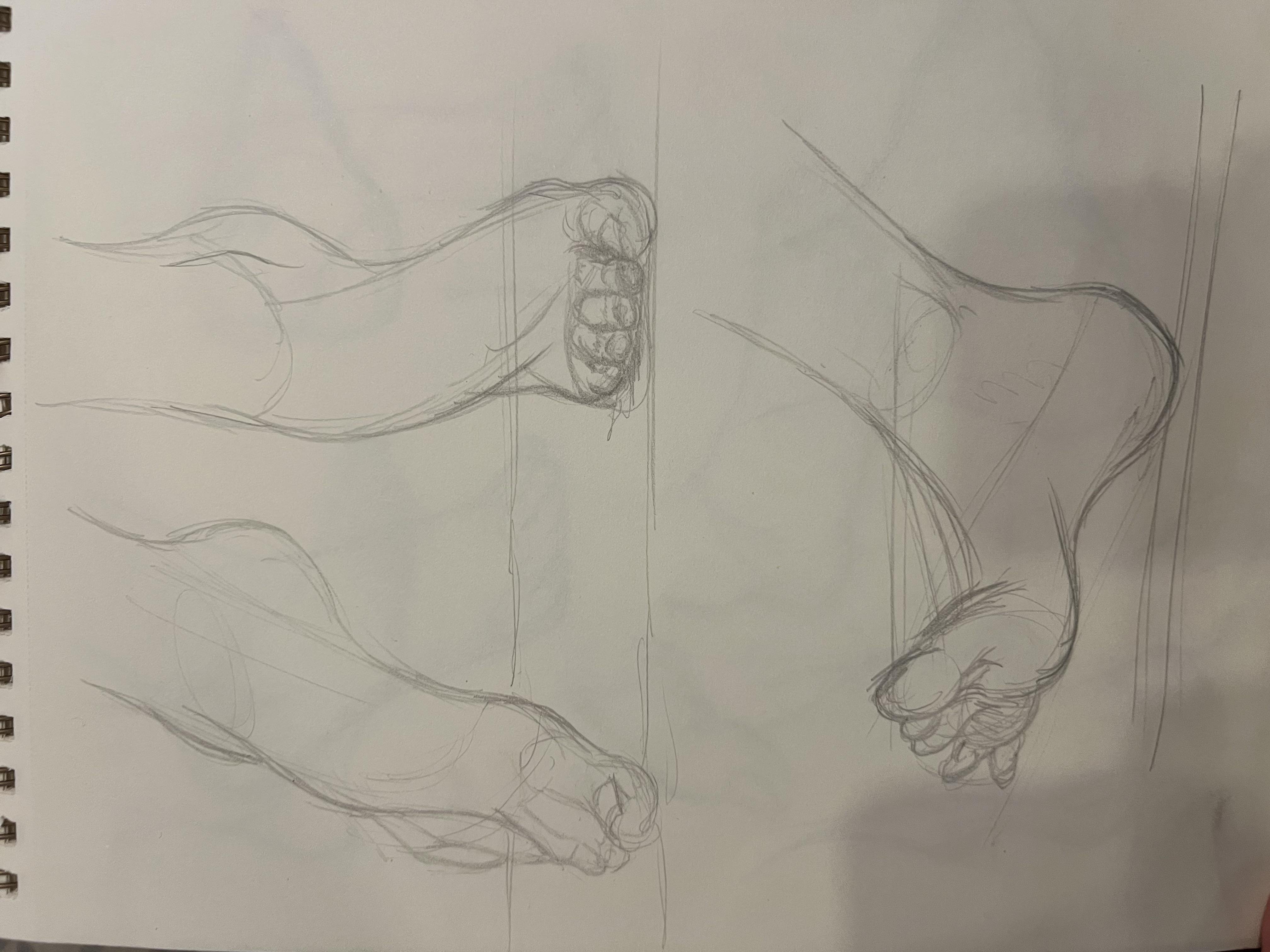 more-projects-from-class-img