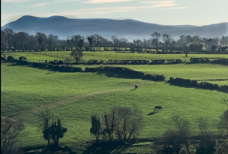 Country side
