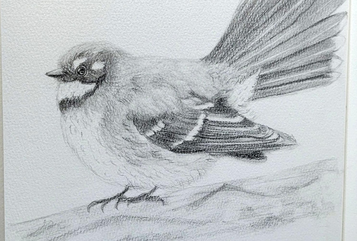 Fantail - student project