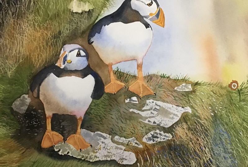 Puffins